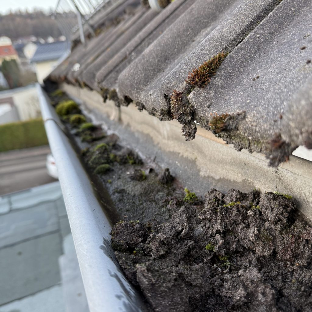 Dachrinnenreinigung